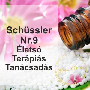 Nr. 09 Natrium Phosphoricum Schüssler só D6 - tanácsadás